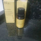 Johnny Alves da Silva scardino D'Amico review photo