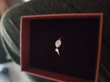 Earnest review photo