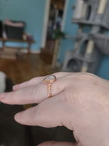 A.S. review photo
