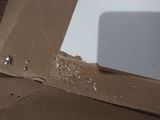 Willian a.S.d. review photo