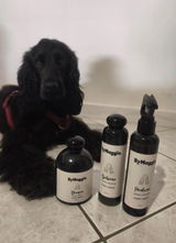 Angela N. review photo
