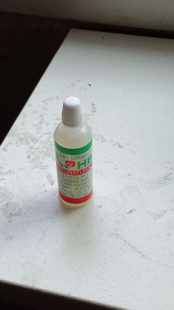 kitansg review photo