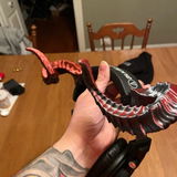 Adam Johnson review photo