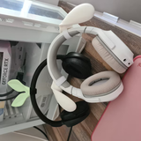 Windreisa Bristol review photo