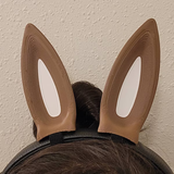 Swan review photo