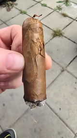 Rene review photo