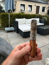 Silvio Thiede review photo