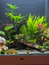 C&P Aquarium Startpaket für Leitungswasser