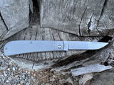 Steven H. review photo