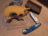 Vince M. review photo