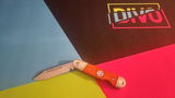 Dave D. review photo