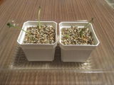 匿名 review photo