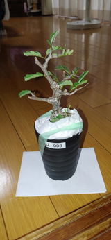 匿名 review photo