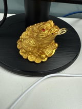 Feng Shui Money Frog – Lucky Wealth Toad Figurine for Prosperity & Protection