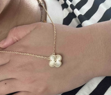 Saliha F. review photo