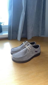 Paolo review photo