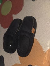 Leonardo Bruno review photo