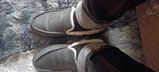 Domenico Fontana review photo