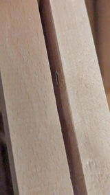 Louis review photo
