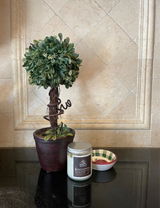 Dorris review photo