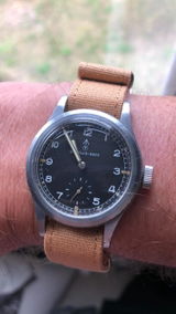 P.L. review photo
