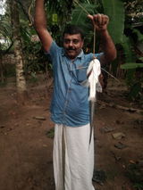 YOGESH KUMAR review photo