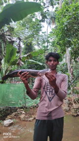 Sajith Es review photo
