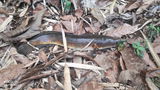 Sajith Es review photo