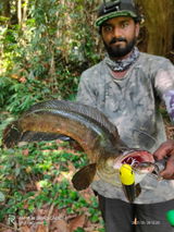Akhil Battle Fish review photo