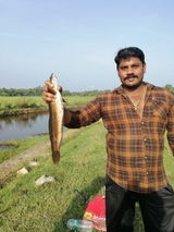 Vivek review photo