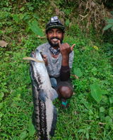 Akhil Battle Fish review photo
