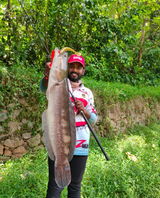 Akhil Battle Fish review photo