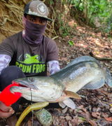 Akhil Battle Fish review photo