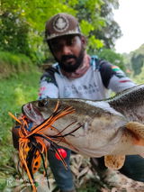 Akhil Battle Fish review photo