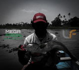 Akhil Battle Fish review photo