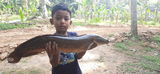 Rajesh Rajappan review photo