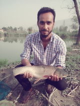tariq ahmad review photo