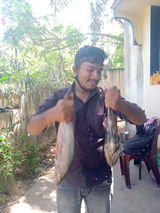 Velmurugan D review photo