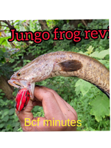 BCF minutes review photo