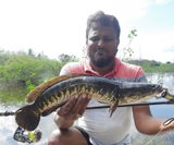 Shaik Khader basha review photo