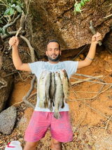 Mohit Naik review photo