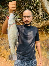 Mohit Naik review photo