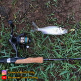 Razween Saleem review photo