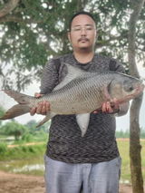 Tsali Sangtam review photo
