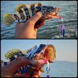 Ryan angler tv review photo