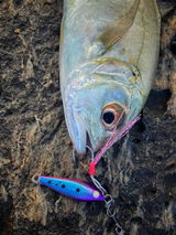 Ryan angler tv review photo