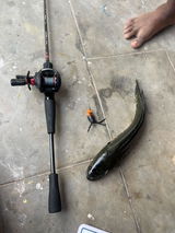 Selvakumar V. review photo