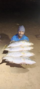 vizaganglershub@gmail.com review photo