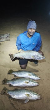 vizaganglershub@gmail.com review photo