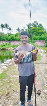 Sarath Mohan review photo
